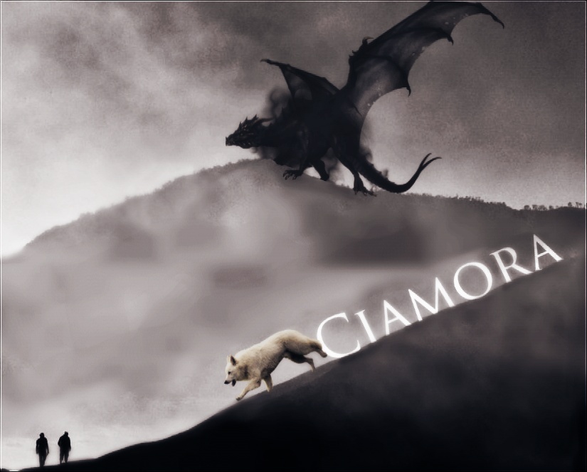 Finding a dragon is harder than you think. Ciamor11
