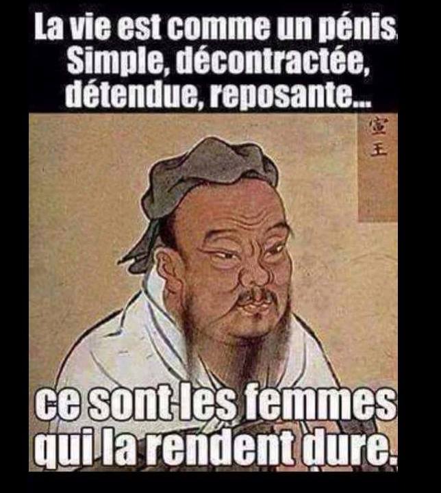 Mort de rire — parce que j'ai le sens de l'humour, moi ! - Page 15 13332811