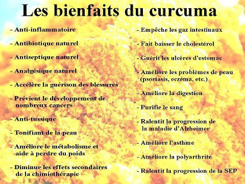 les bienfaits du curcuma 24677510