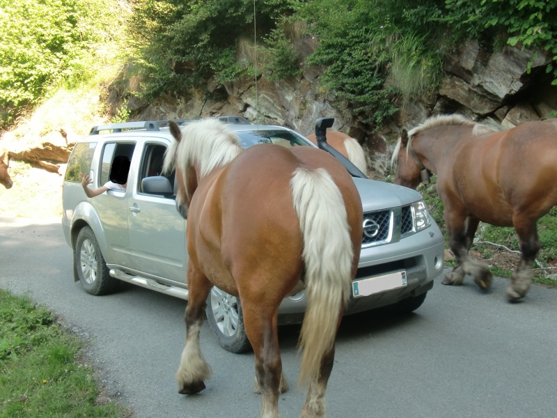 Espagne Val d'Aran - Andorre - Boucle Catalane - Collioure 8_aout11