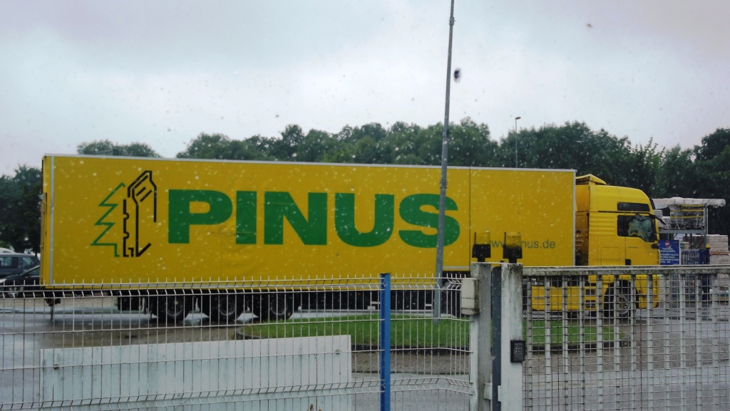 Pinus  (Karlsruhe) Camion43