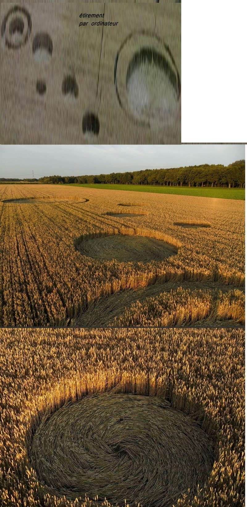 Crop Circles 2013 - Page 9 20132015