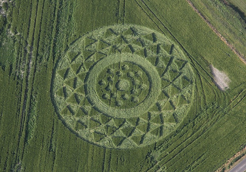 Crop Circles 2013 - Page 7 7d13_010