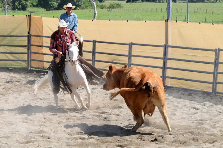 Cutting en Nouvelle Calédonie Cuting10