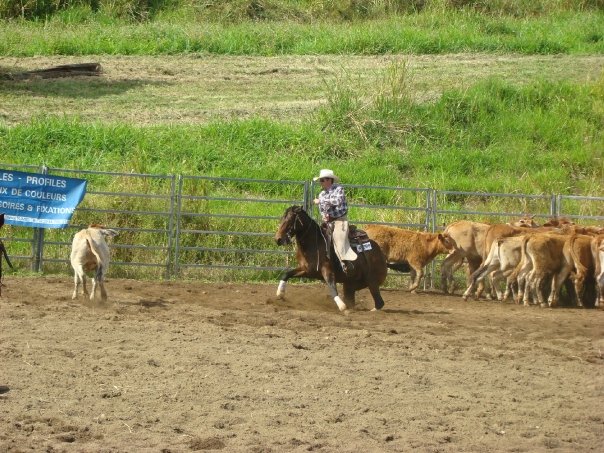 Cutting en Nouvelle Calédonie Cuttin12