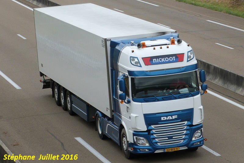 Nickoot - Viand Trans  (Rotterdam) P1340131
