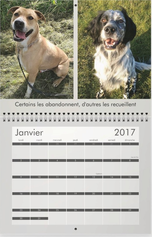 Calendrier 2017 SLPA AMANCE "les chiens d'Amance" Previe15