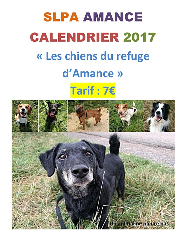 Calendrier 2017 SLPA AMANCE "les chiens d'Amance" Slpaam10
