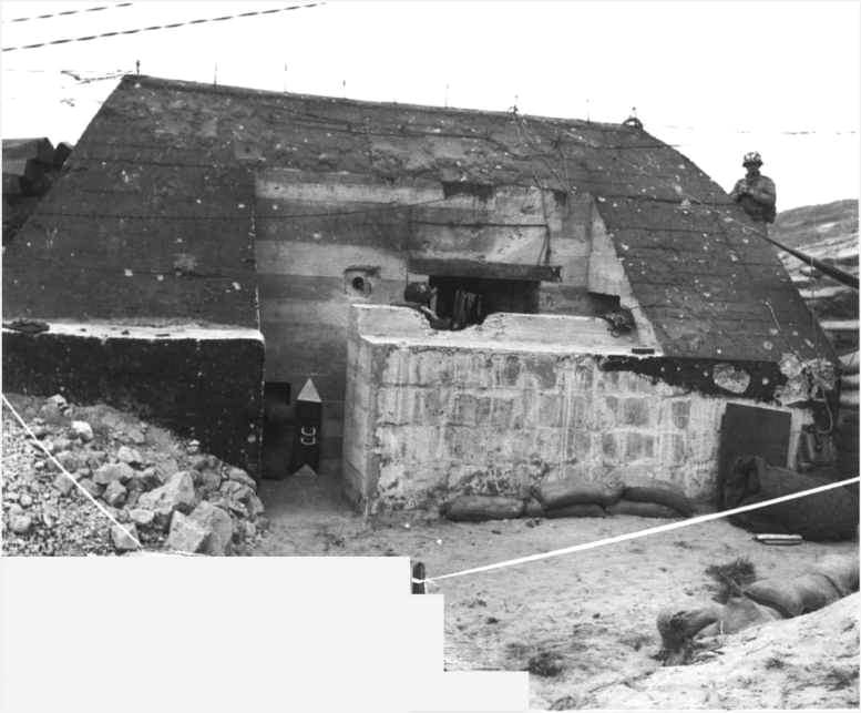 1 - La Wehrmacht (l'Armée Allemande) à Omaha Beach (Vierville-sur-Mer) en 1944 Ld117-10