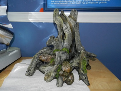 Aquarium Decoration - any use for root over rock? 00611