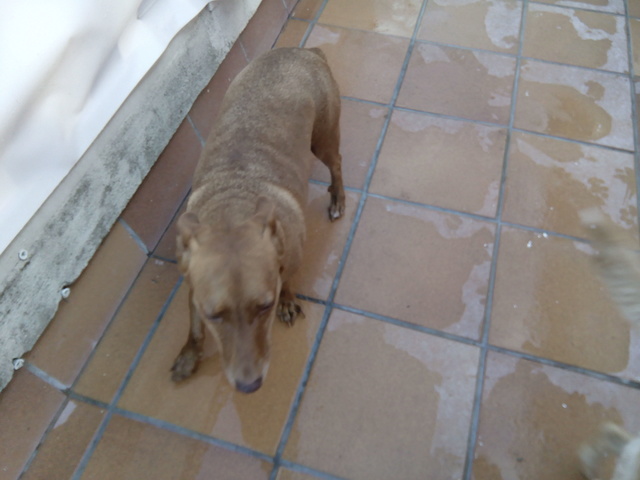 AU - Tina Img_2012