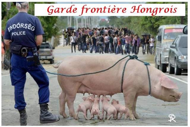 nouveaux gardes-frontières en HONGRIE Cid_7310