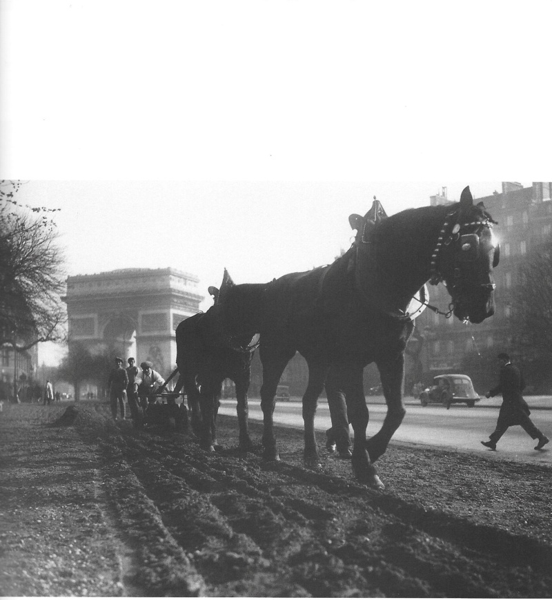 Que fait cet attelage en 1935 . Scan17