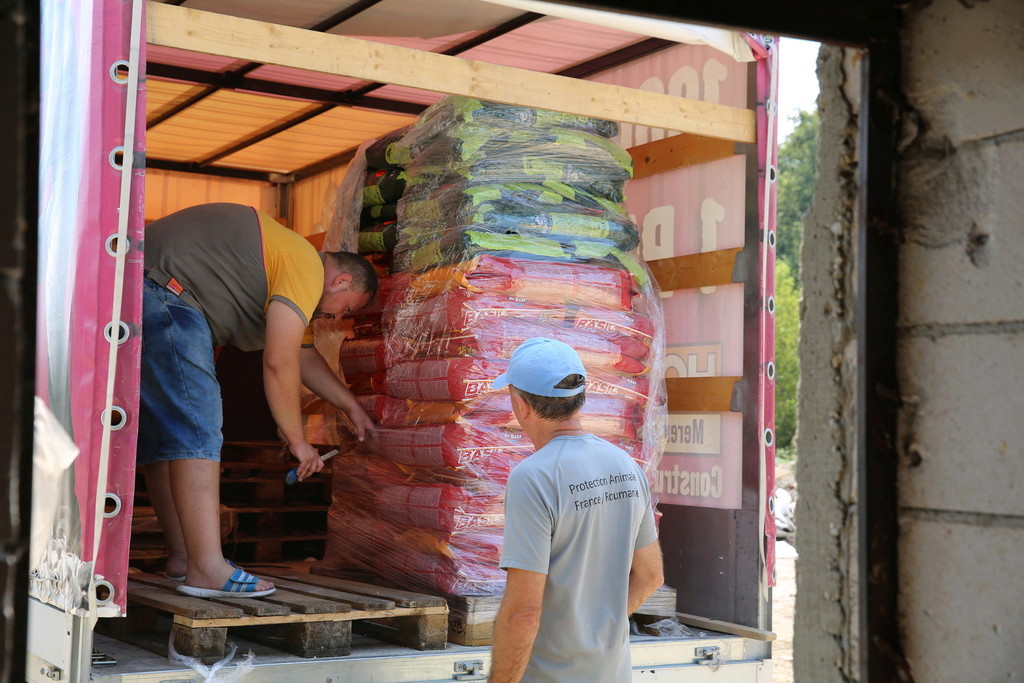 Commande de croquettes pour dernière semaine de juillet et août 2016 Hx9a7317