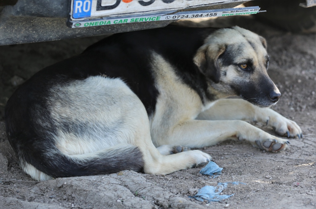 Parrainage de Louna Louna10