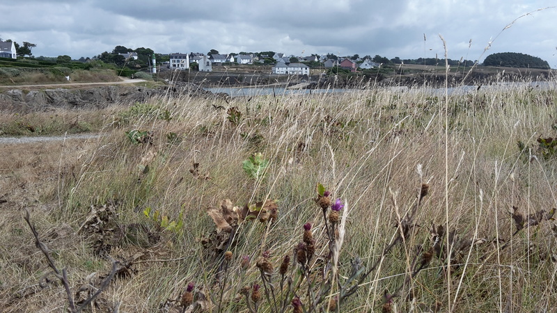 Doélan- Finistere sud. - Page 2 20160813