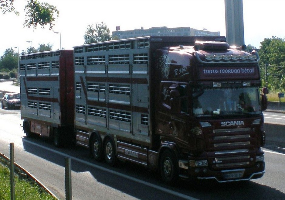 Sarl Trans Morvan Bétail (Marcheseuil 21) Scania92