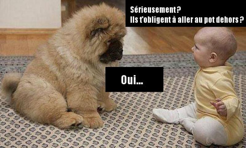 HUMOUR - blagues - Page 8 Bebe-c10
