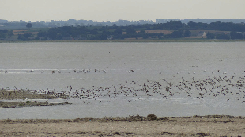  rando été 2016 bretagne .... P1020214