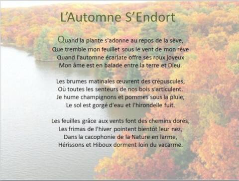 Forum Poetique Vitrine Du Site