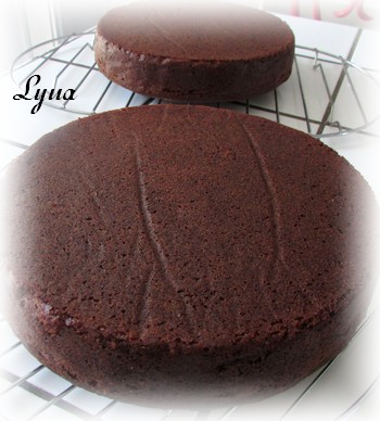 Gâteau au chocolat Gyteau15