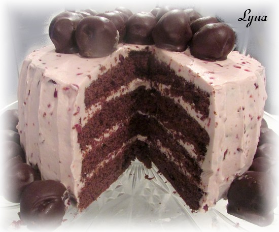 Gâteau au chocolat Gyteau16