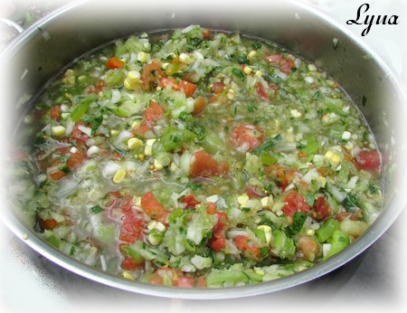 Salsa de tomatillos et tomates Salsa510