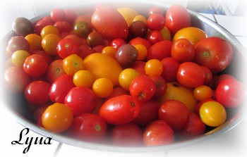 sauce tomate - Base de sauce aux tomates Tomate14