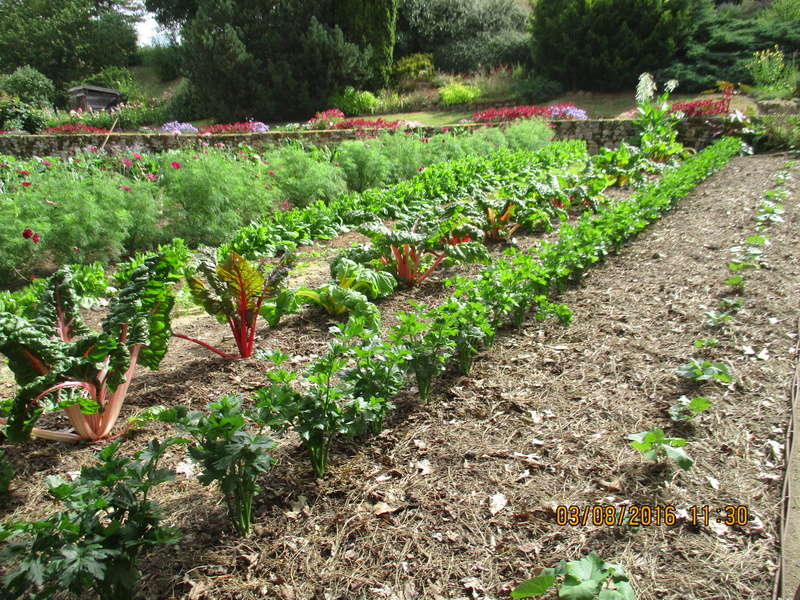 Notre visite : Les Jardins du Gué  LHOUMOIS 79390 - Page 4 Img_0711