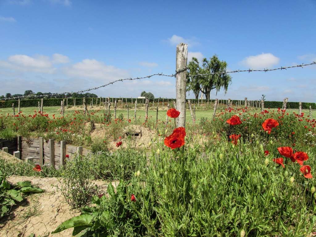 Inauguration par Michel Platini d'un monument en souvenir du match de la paix de Noël 1914 à Ploegsteert - Belgique Img_1311