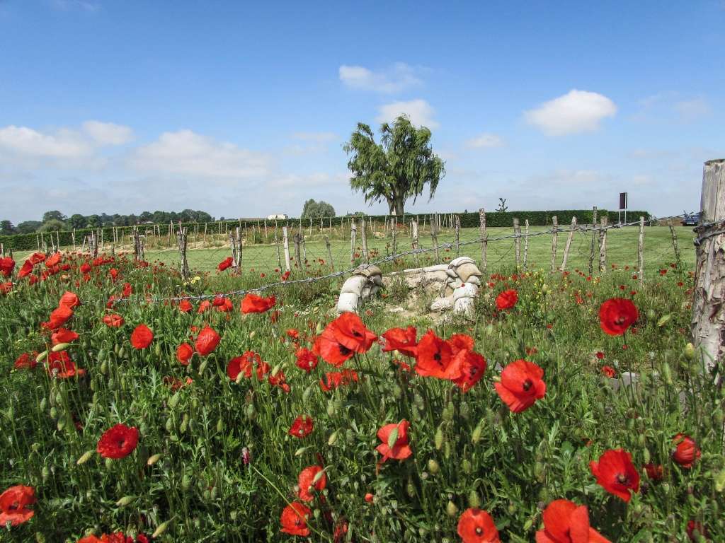 Inauguration par Michel Platini d'un monument en souvenir du match de la paix de Noël 1914 à Ploegsteert - Belgique Img_1312