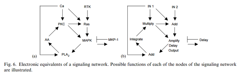 How Cellular Enzymatic and Metabolic networks point to design Ertttt10
