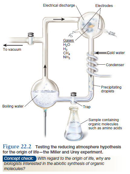 Brooks, origin of life Urey_110