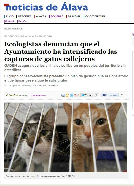 El Ayuntamiento de Vitoria intensifica la captura de Gatos callejeros Notici10
