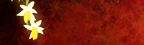 Ce forum est verrouillé, vous ne pouvez pas poster, ni répondre, ni éditer les sujets. Ce forum est verrouillé, vous ne pouvez pas poster, ni répondre, ni éditer les sujets.