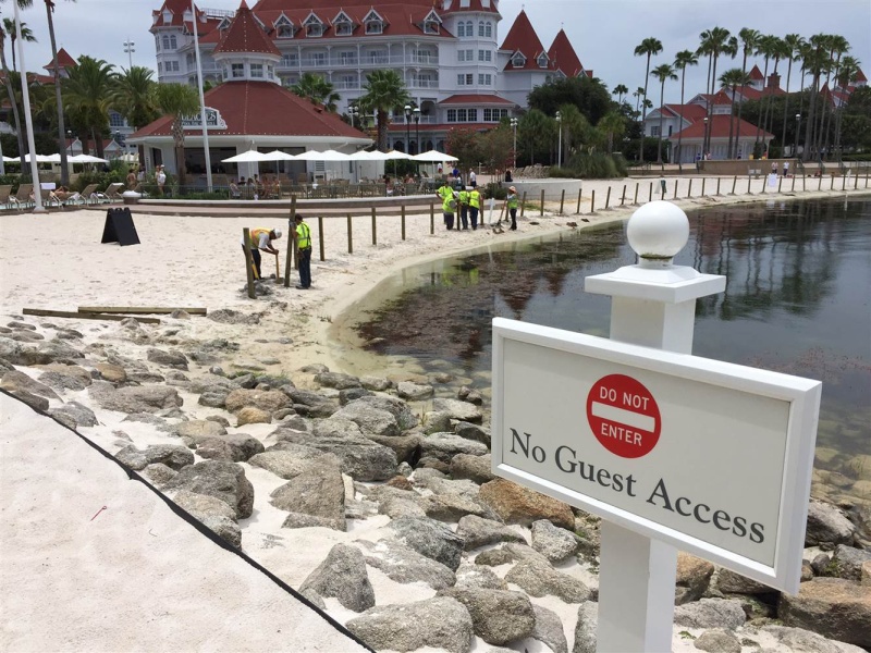 [Walt Disney World Resort] Un alligator tue un enfant au Grand Floridian - Page 7 16061710