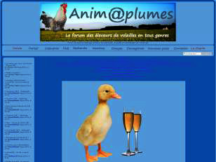 Les photos du portail d'Anim@plumes Animap10