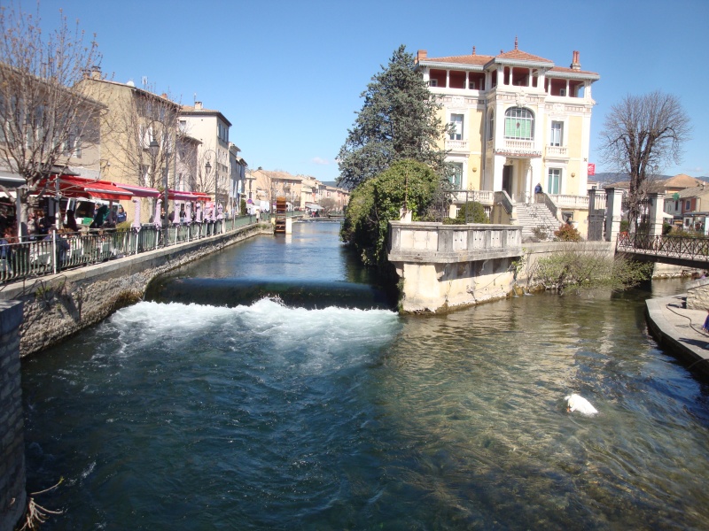 sortie à L'Isle sur la Sorgue et Fontaine de Vaucluse. le dimanche 24 juillet.  Dsc09610