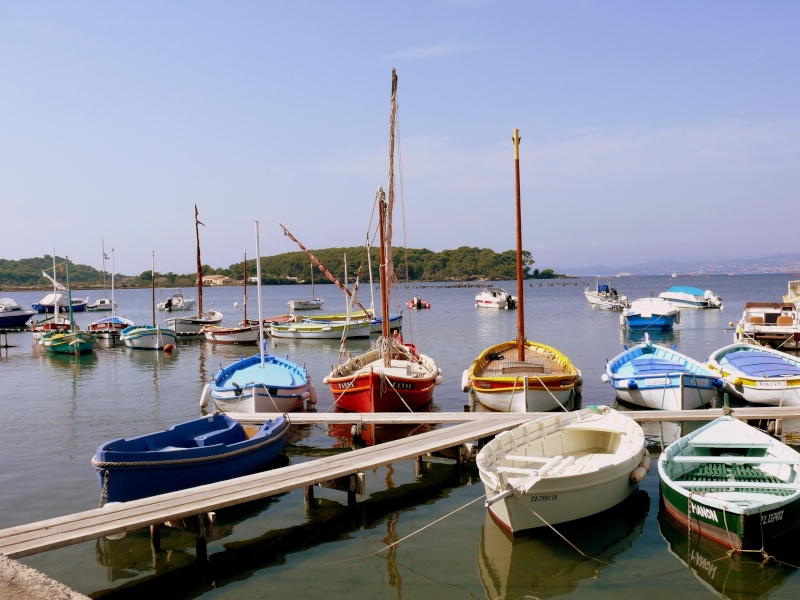 [FRANCE] Pointus, Bettes & Barques du sud de la France Batea271