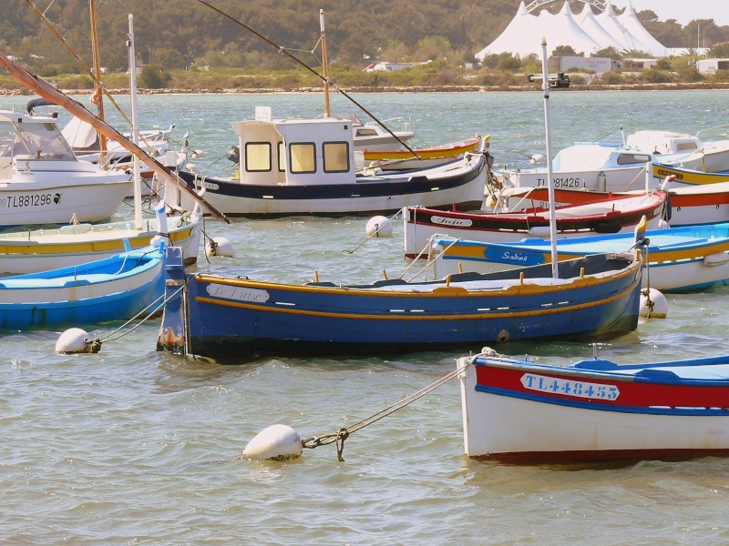 [FRANCE] Pointus, Bettes & Barques du sud de la France Batea280