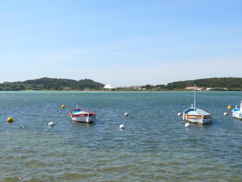 [FRANCE] Pointus, Bettes & Barques du sud de la France Batea284