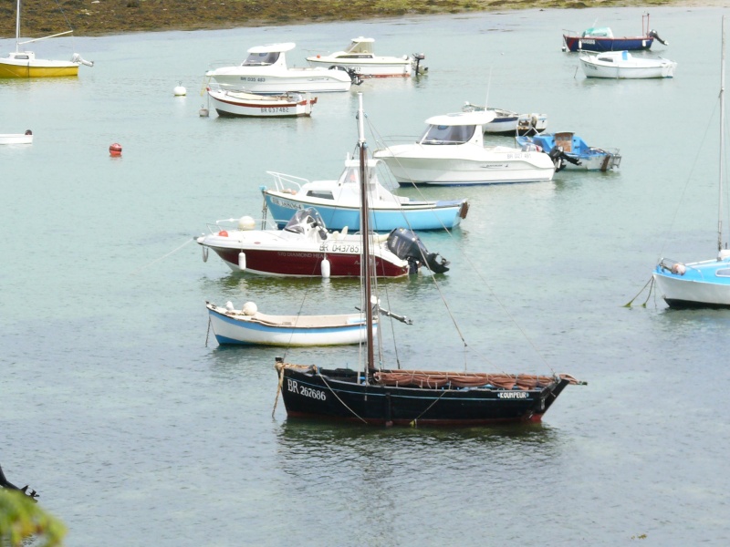 Bateaux divers Bateau56