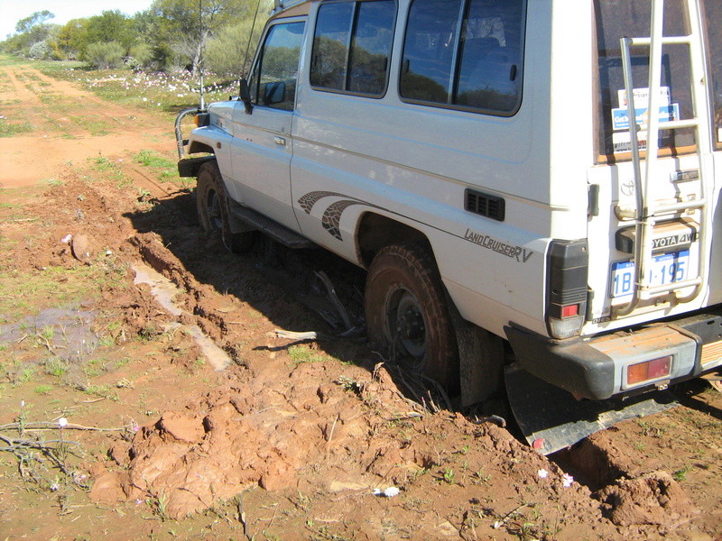 Dont get bogged Img_1215