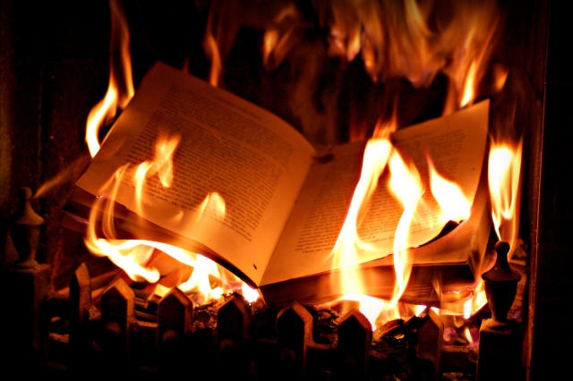 Vous cherchez un livre - Page 2 Burnin10