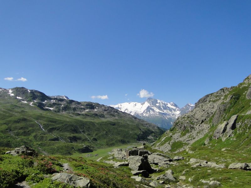 Le col du Tachuy (Sainte-Foy) Dsc02312