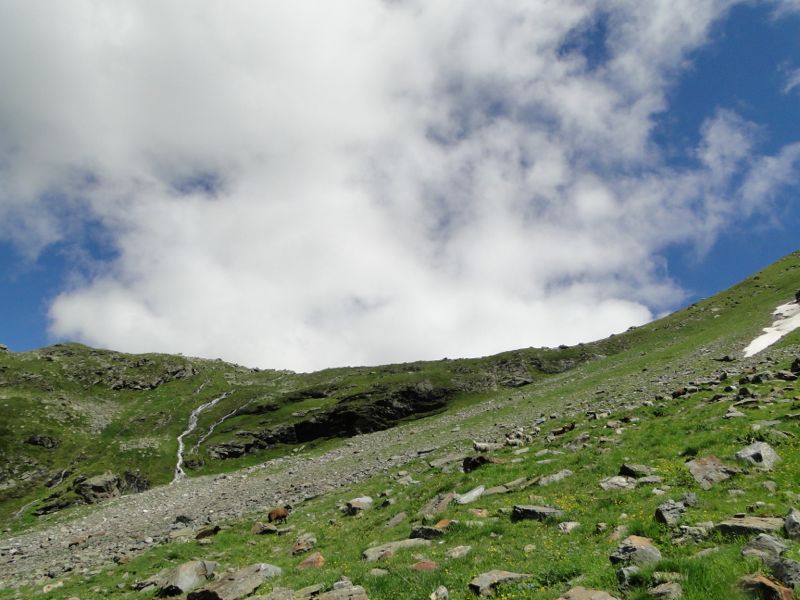 Sainte-Foy - Col du Mont - Col de Montséti Dsc02470