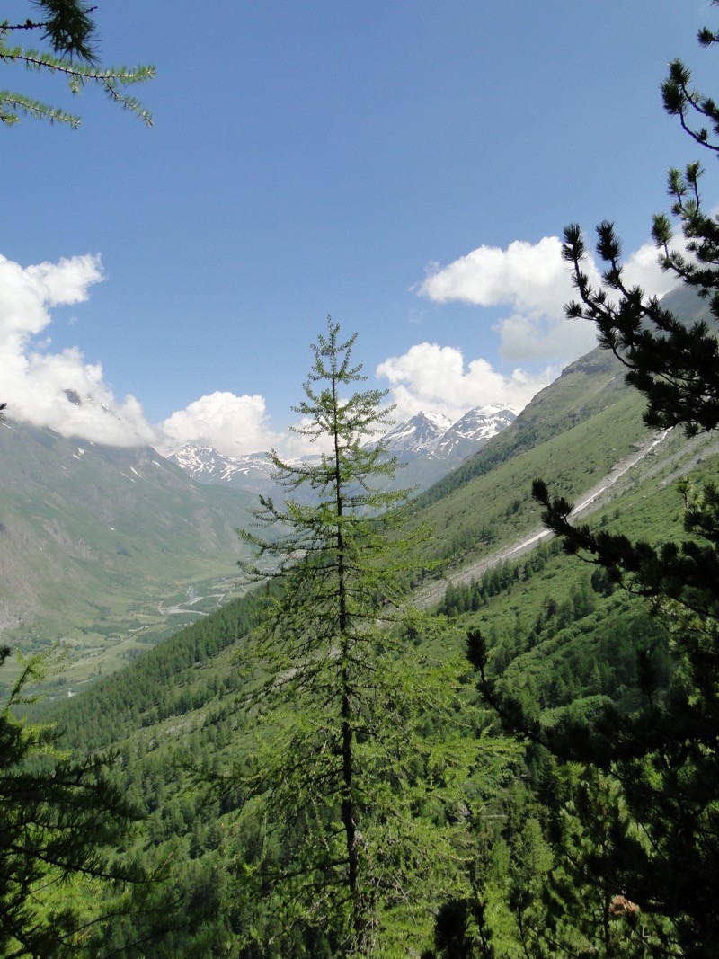 Lanslevillard - la Pierre des Saints Dsc04217