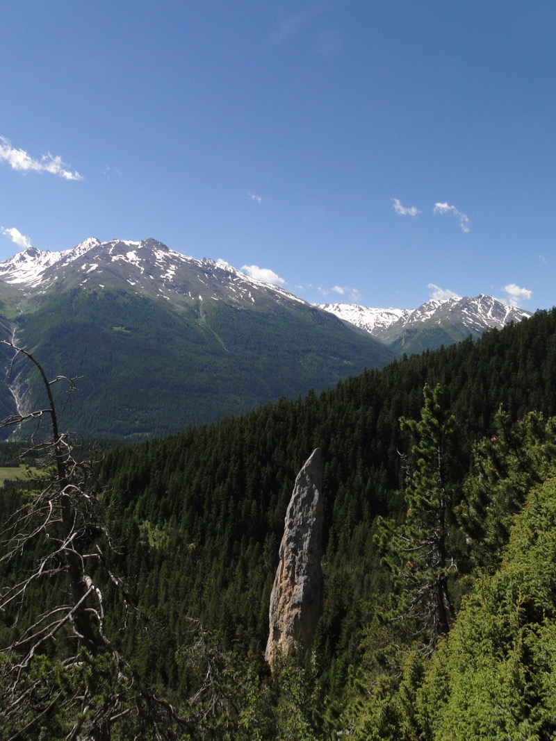 Conditions en direct Eté 2016 Dsc04415