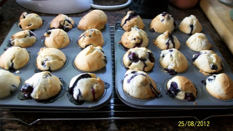 Mini-muffins aux bleuets 100_2910