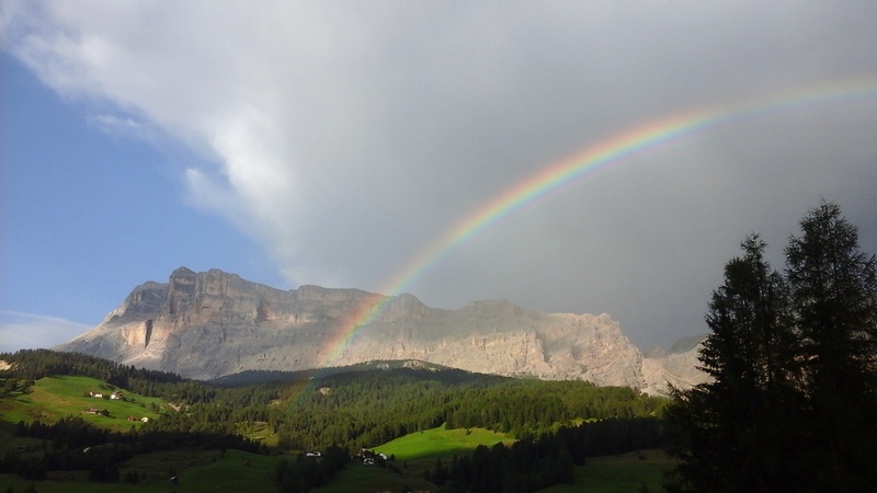 Foto ...fuori di forum 20160810
